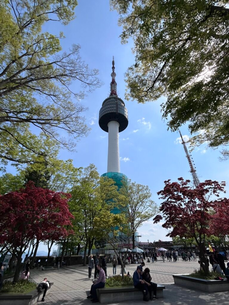 img 1903